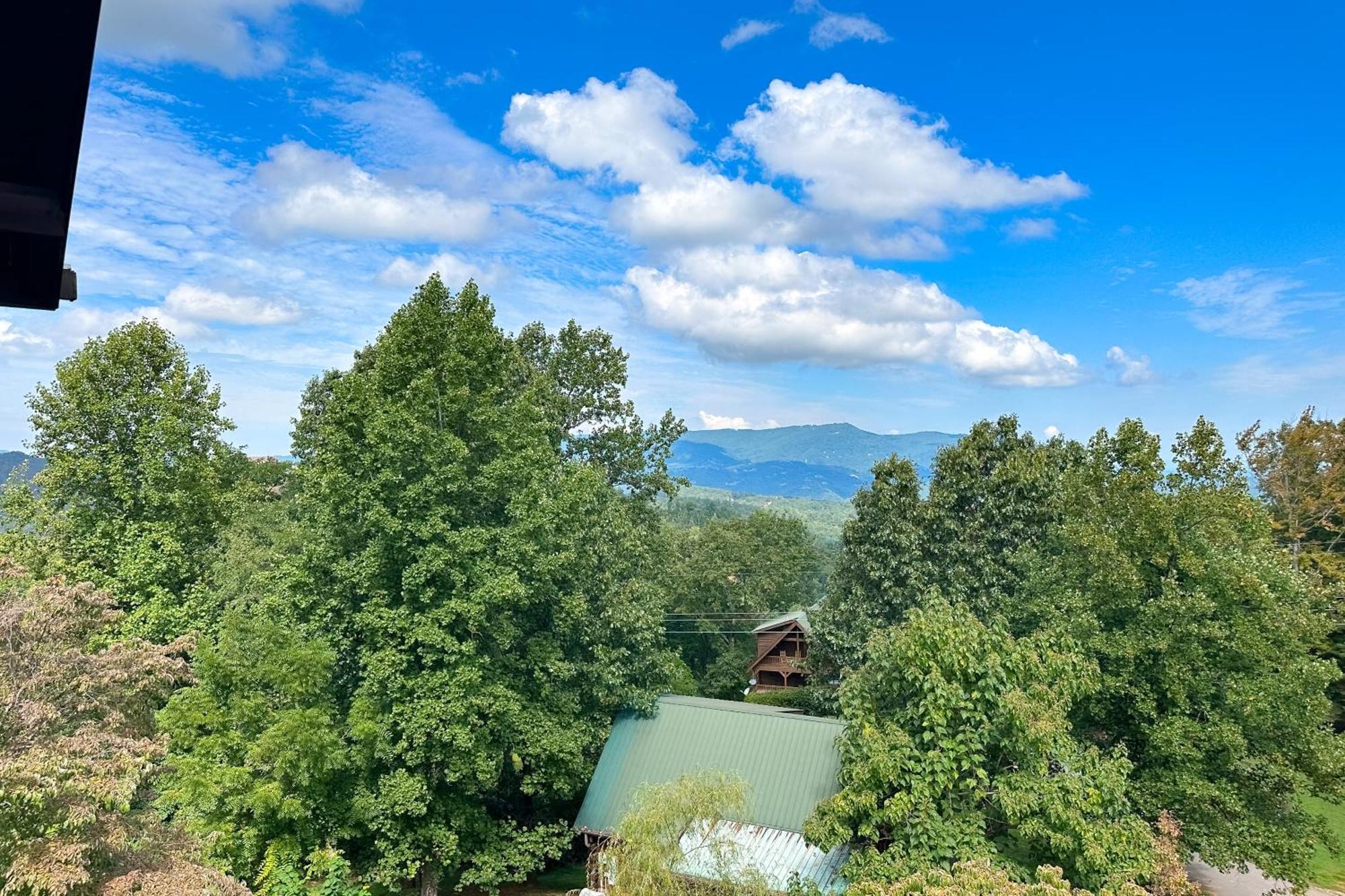 Little Black Bear Retreat ピジョンフォージ エクステリア 写真